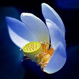 《层层恐惧》开发商Bloober Team希望能保持独立 腾讯是其最大股东